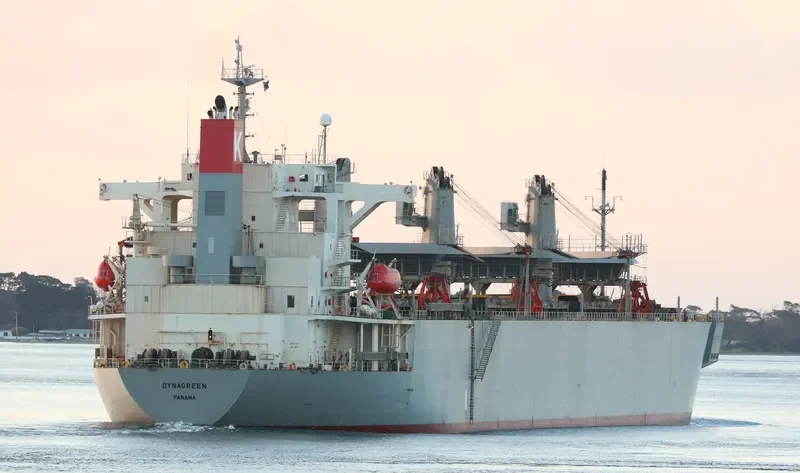 DYNAGREEN Bulk Carrier IMO 9253844 photo 2