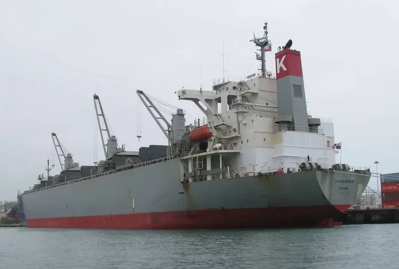 DYNAGREEN Bulk Carrier IMO 9253844 photo 5