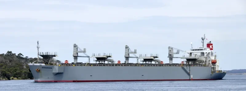 DYNAGREEN Bulk Carrier IMO 9253844 photo 6