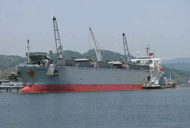 DYNAGREEN Bulk Carrier IMO 9253844 photo 8
