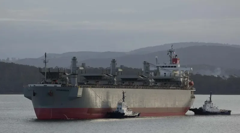 DYNAGREEN Bulk Carrier IMO 9253844 photo 10