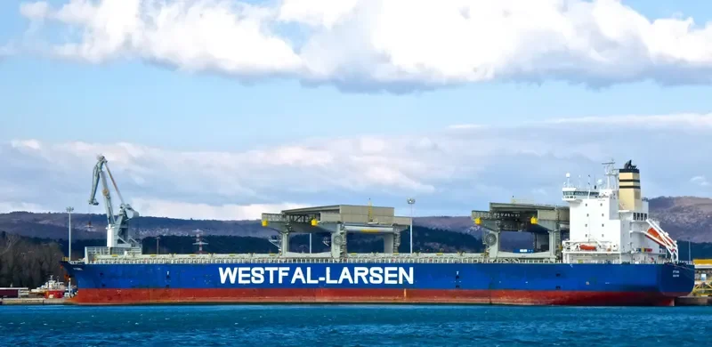 OPTIMANA Container Ship IMO 9253856 photo 5