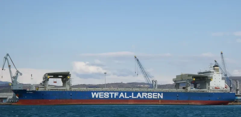 OPTIMANA Container Ship IMO 9253856 photo 7