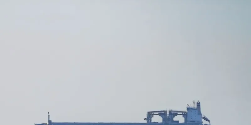 OPTIMANA Container Ship IMO 9253856 photo 9