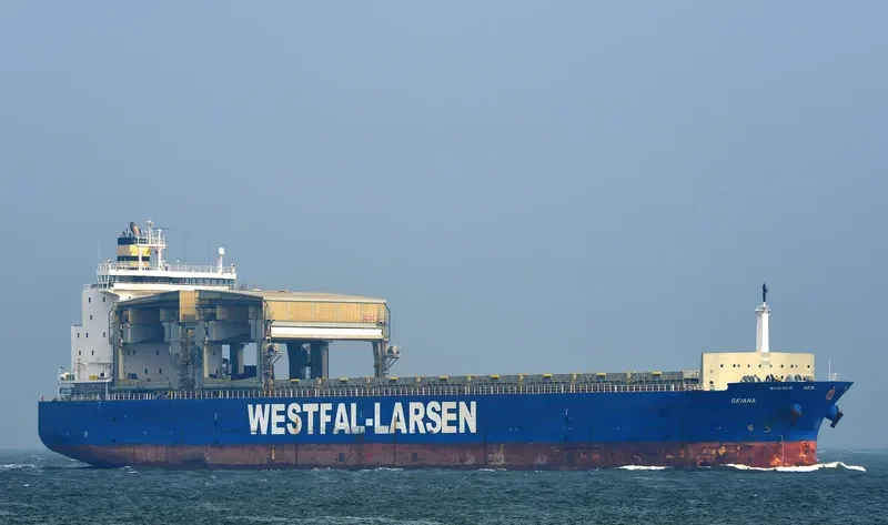 OKIANA Container Ship IMO 9253868 photo 2