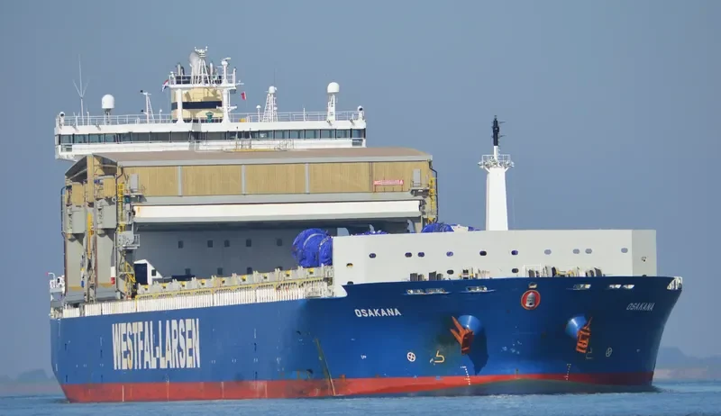 OSAKANA Container Ship IMO 9253870 photo 3