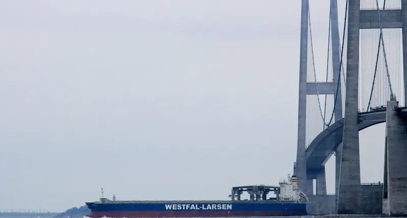 OSAKANA Container Ship IMO 9253870 photo 8