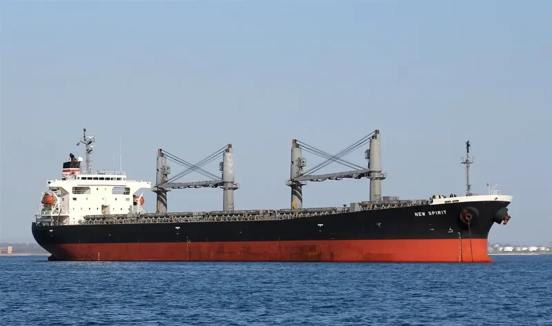 PUTERI SEJATI Bulk Carrier IMO 9253882