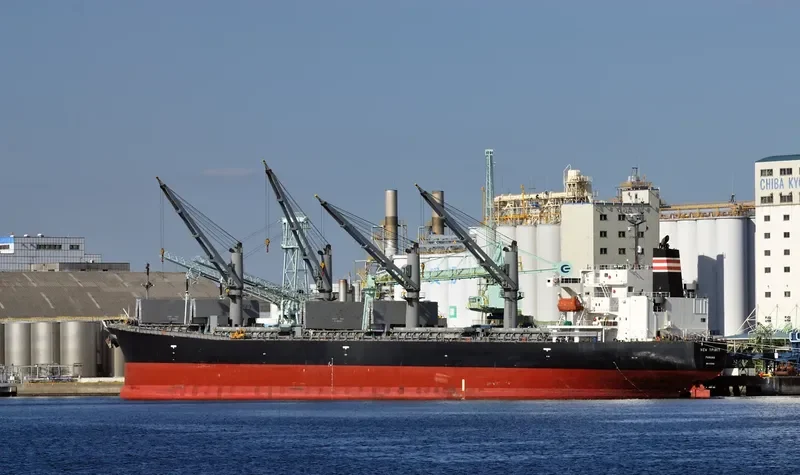 PUTERI SEJATI Bulk Carrier IMO 9253882 photo 2