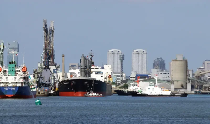 PUTERI SEJATI Bulk Carrier IMO 9253882 photo 3