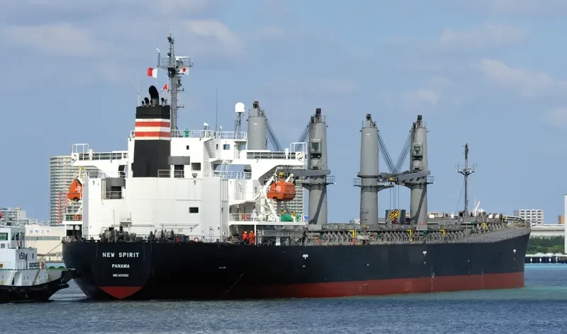 PUTERI SEJATI Bulk Carrier IMO 9253882 photo 4