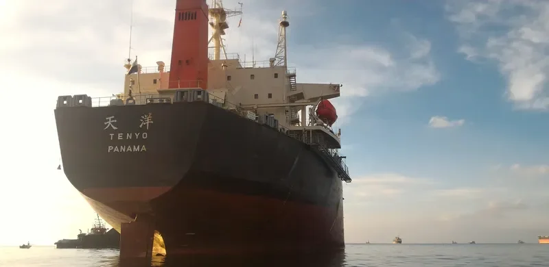 ZHAN PENG87 Bulk Carrier IMO 9253985 photo 2