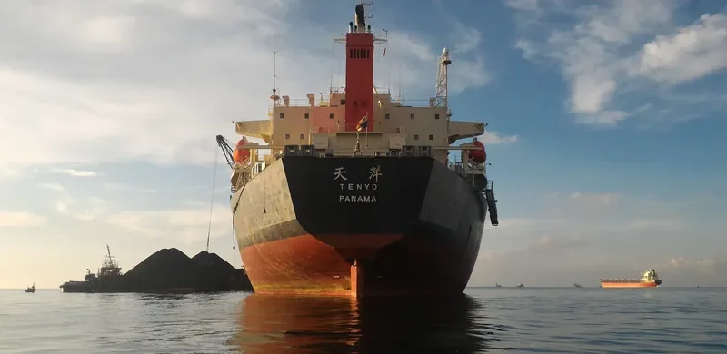 ZHAN PENG87 Bulk Carrier IMO 9253985 photo 3