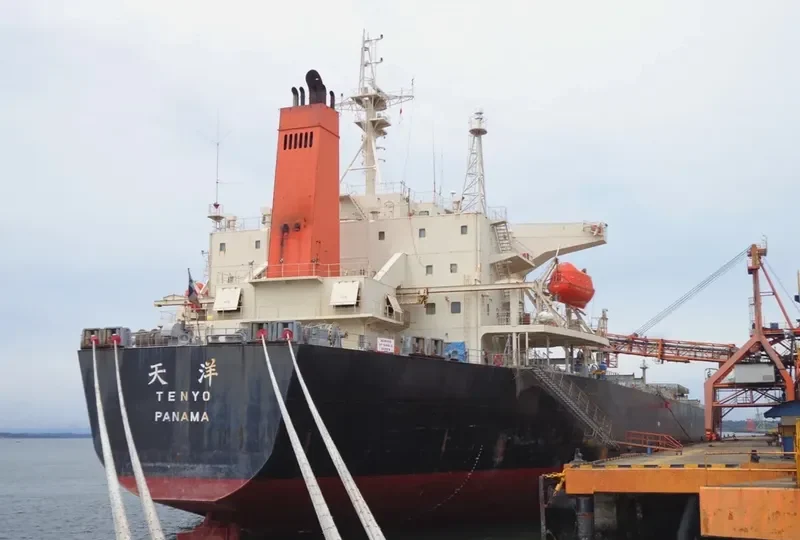 ZHAN PENG87 Bulk Carrier IMO 9253985 photo 7
