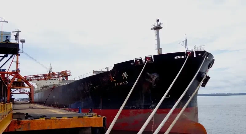 ZHAN PENG87 Bulk Carrier IMO 9253985 photo 8