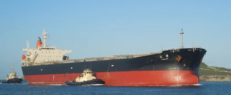 ZHAN PENG87 Bulk Carrier IMO 9253985 photo 10