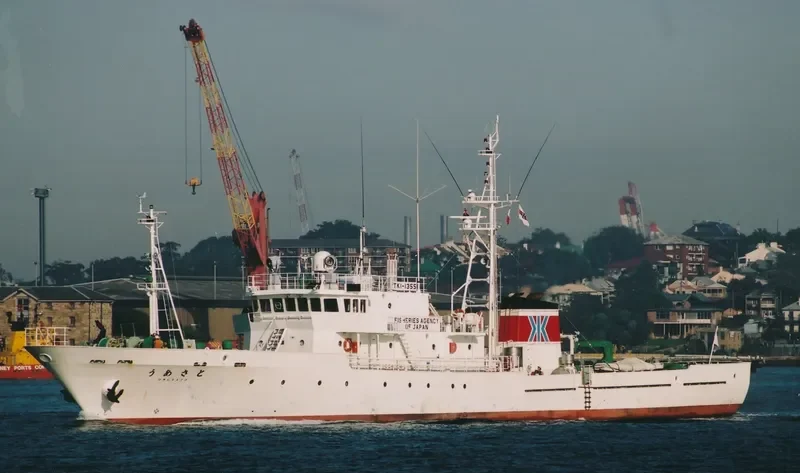 UMESATO General Cargo IMO 9254161 photo 5
