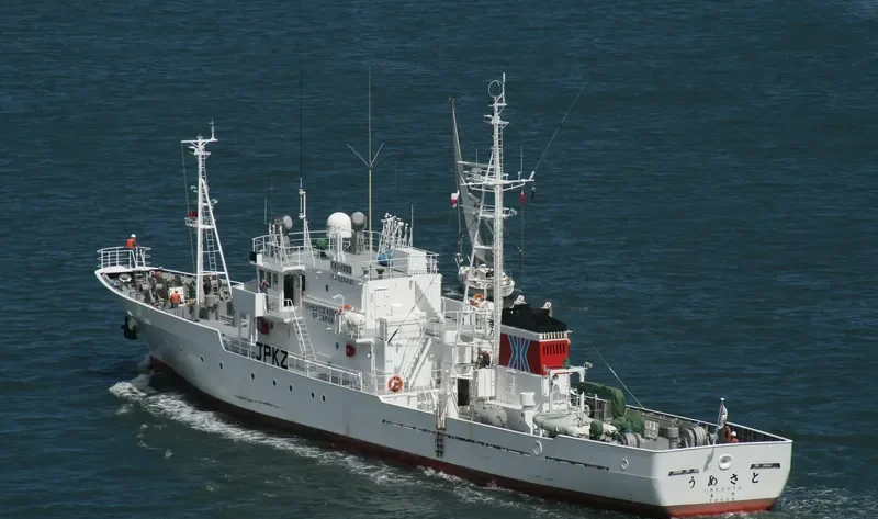 UMESATO General Cargo IMO 9254161 photo 6