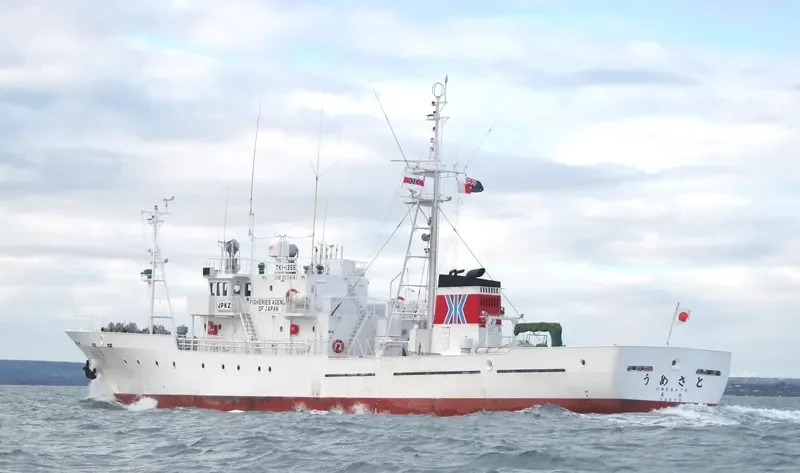 UMESATO General Cargo IMO 9254161 photo 7