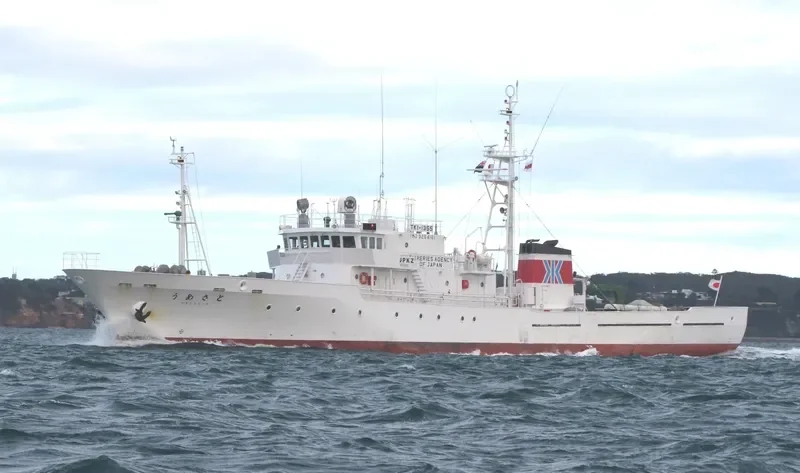 UMESATO General Cargo IMO 9254161 photo 8