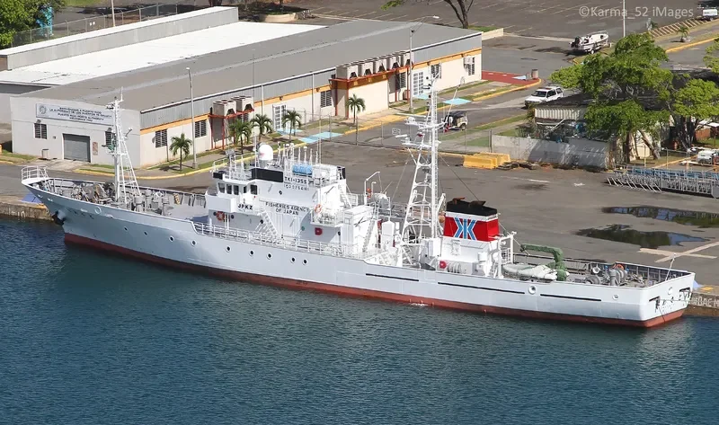 UMESATO General Cargo IMO 9254161 photo 9