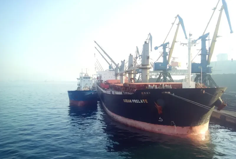 OCEAN PILGRIM Bulk Carrier IMO 9254458