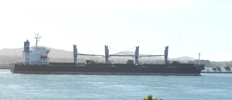 OCEAN PILGRIM Bulk Carrier IMO 9254458 photo 2