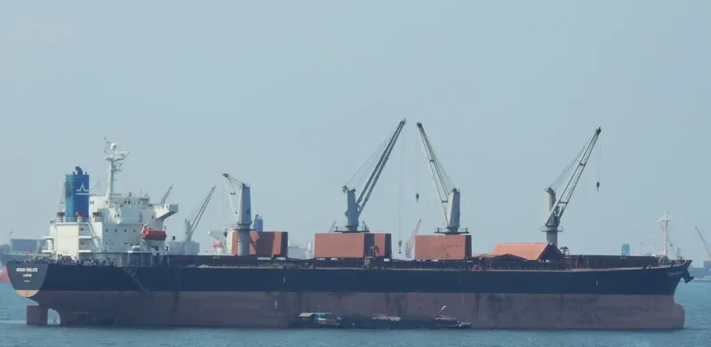 OCEAN PILGRIM Bulk Carrier IMO 9254458 photo 3