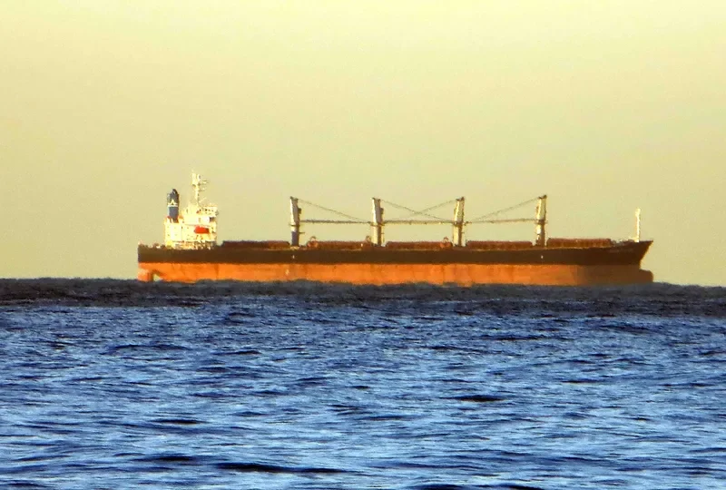 OCEAN PILGRIM Bulk Carrier IMO 9254458 photo 5