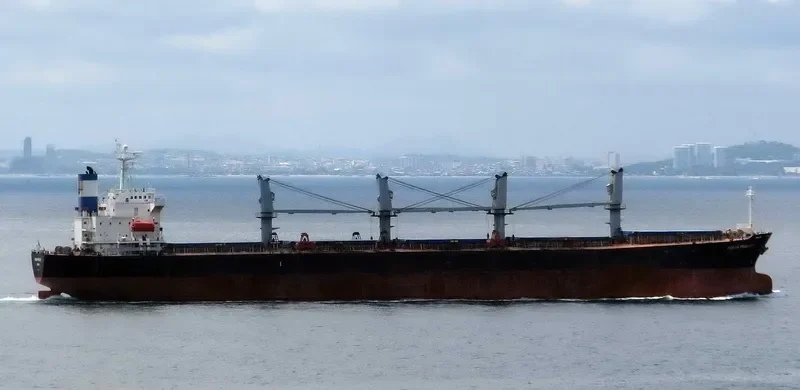 OCEAN PILGRIM Bulk Carrier IMO 9254458 photo 8