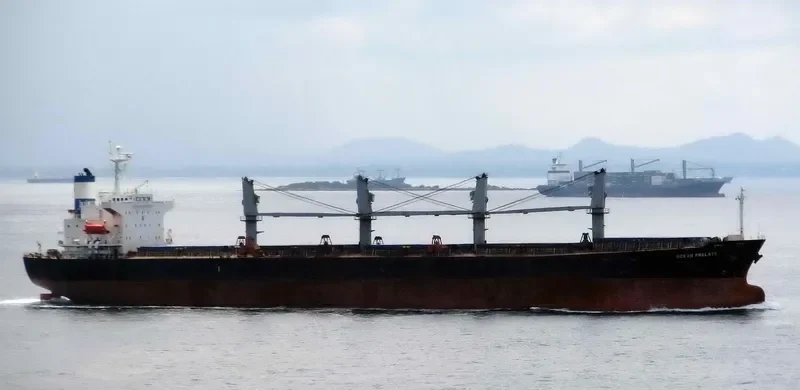 OCEAN PILGRIM Bulk Carrier IMO 9254458 photo 10