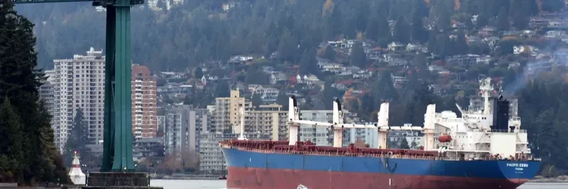 PACIFIC CEBU Bulk Carrier IMO 9254460 photo 2