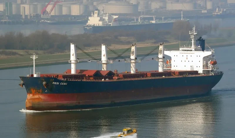 PACIFIC CEBU Bulk Carrier IMO 9254460 photo 3