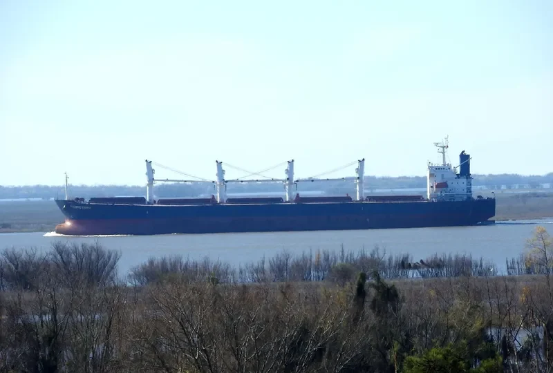 PACIFIC CEBU Bulk Carrier IMO 9254460 photo 4