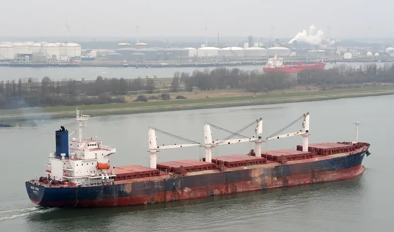 PACIFIC CEBU Bulk Carrier IMO 9254460 photo 6