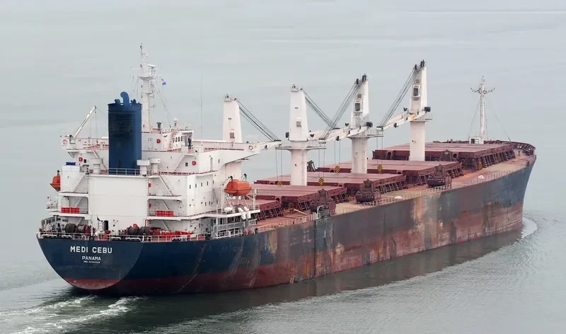 PACIFIC CEBU Bulk Carrier IMO 9254460 photo 7