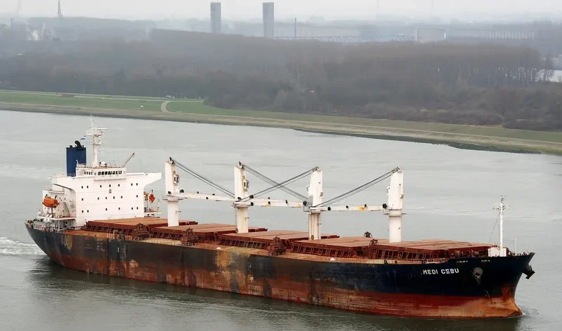 PACIFIC CEBU Bulk Carrier IMO 9254460 photo 8