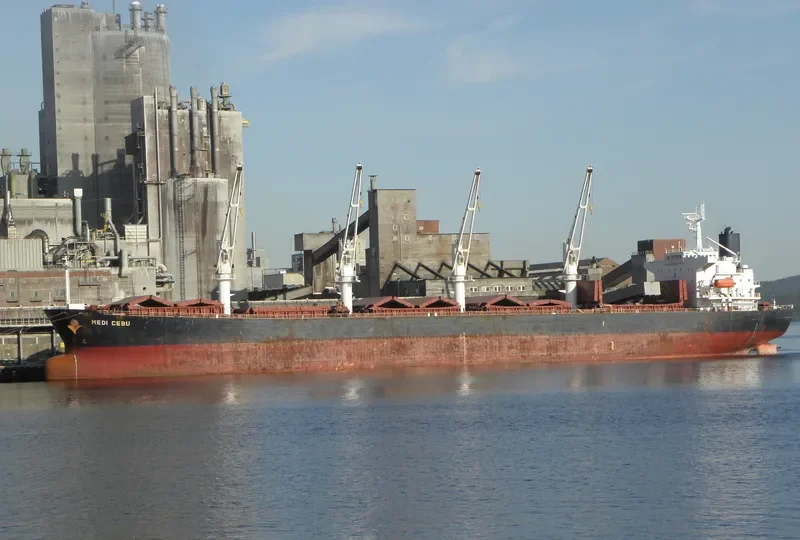 PACIFIC CEBU Bulk Carrier IMO 9254460 photo 9