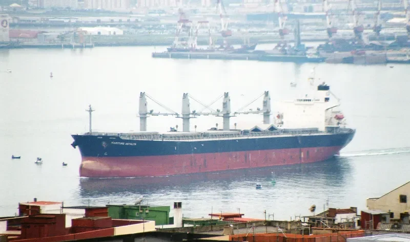 APJ JAD Bulk Carrier IMO 9254496