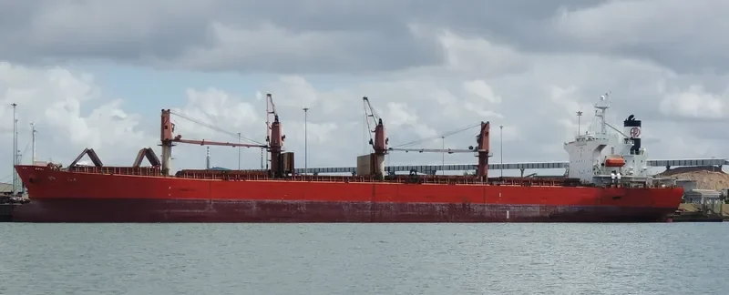 APJ JAD Bulk Carrier IMO 9254496 photo 2