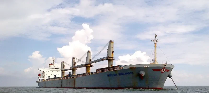 MANALAGI SAMBA Bulk Carrier IMO 9254501 photo 3