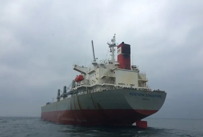 MANALAGI SAMBA Bulk Carrier IMO 9254501 photo 6