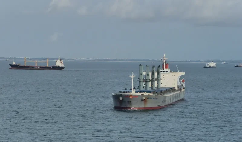 MANALAGI SAMBA Bulk Carrier IMO 9254501 photo 10