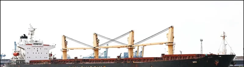 BAO LAI Bulk Carrier IMO 9254513 photo 4