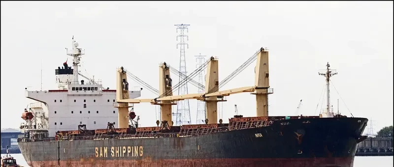 BAO LAI Bulk Carrier IMO 9254513 photo 5