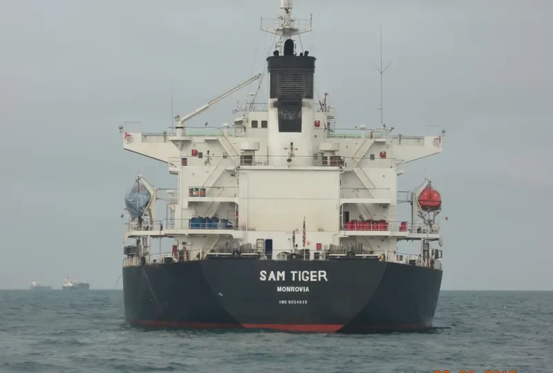 BAO LAI Bulk Carrier IMO 9254513 photo 6