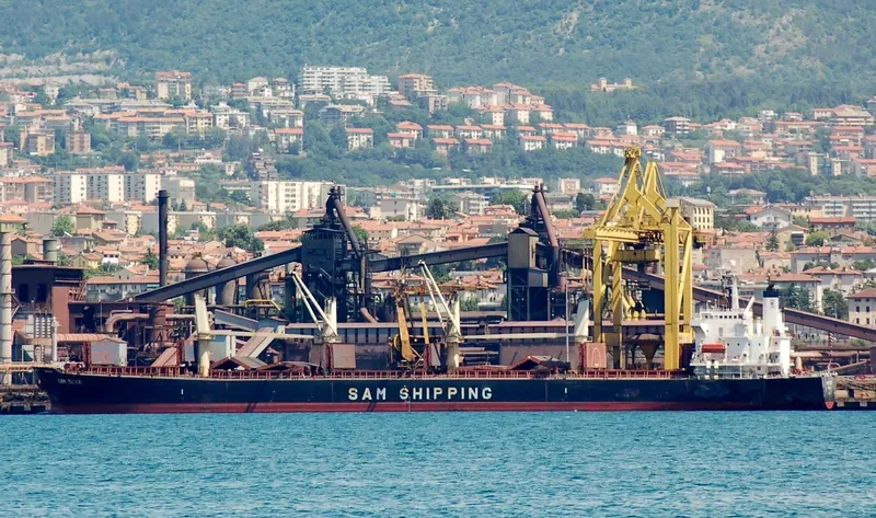 BAO LAI Bulk Carrier IMO 9254513 photo 7