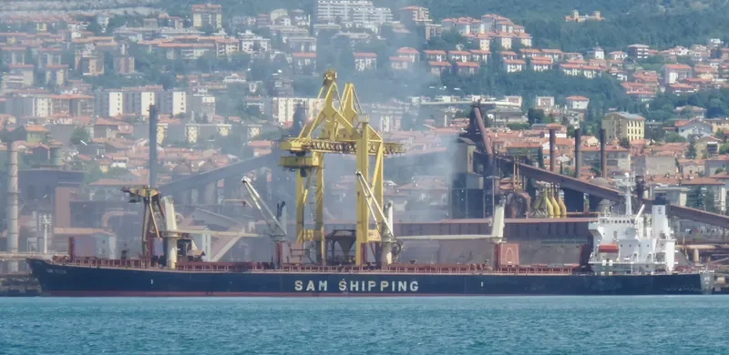 BAO LAI Bulk Carrier IMO 9254513 photo 8