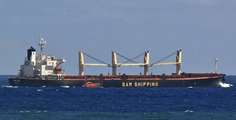 BAO LAI Bulk Carrier IMO 9254513 photo 9
