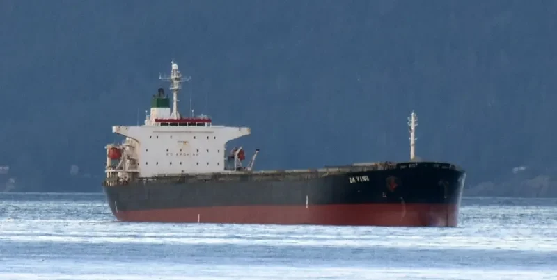 DA YING Bulk Carrier IMO 9254525 photo 2